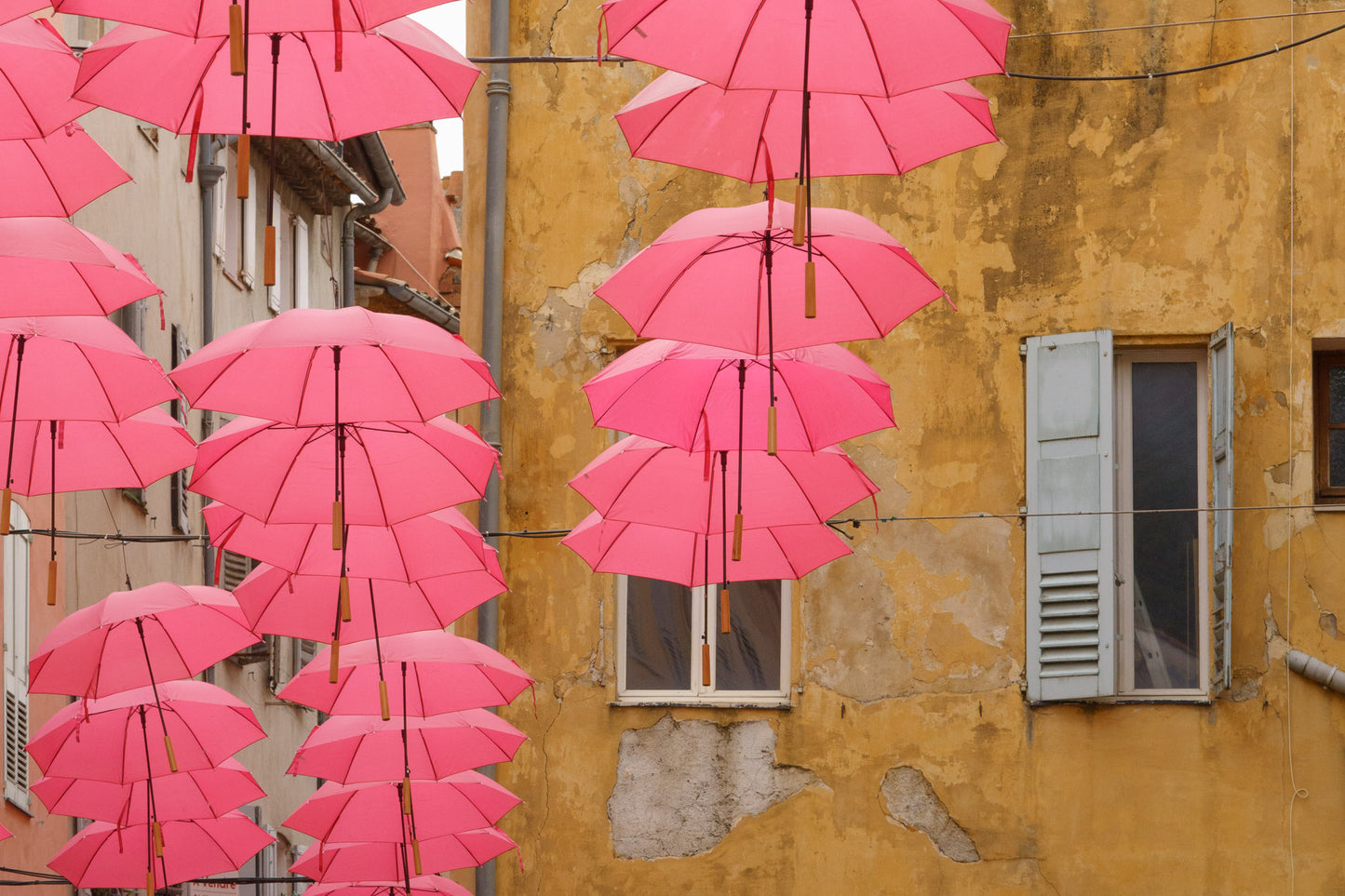 South of France Fragrance Tour - 2026